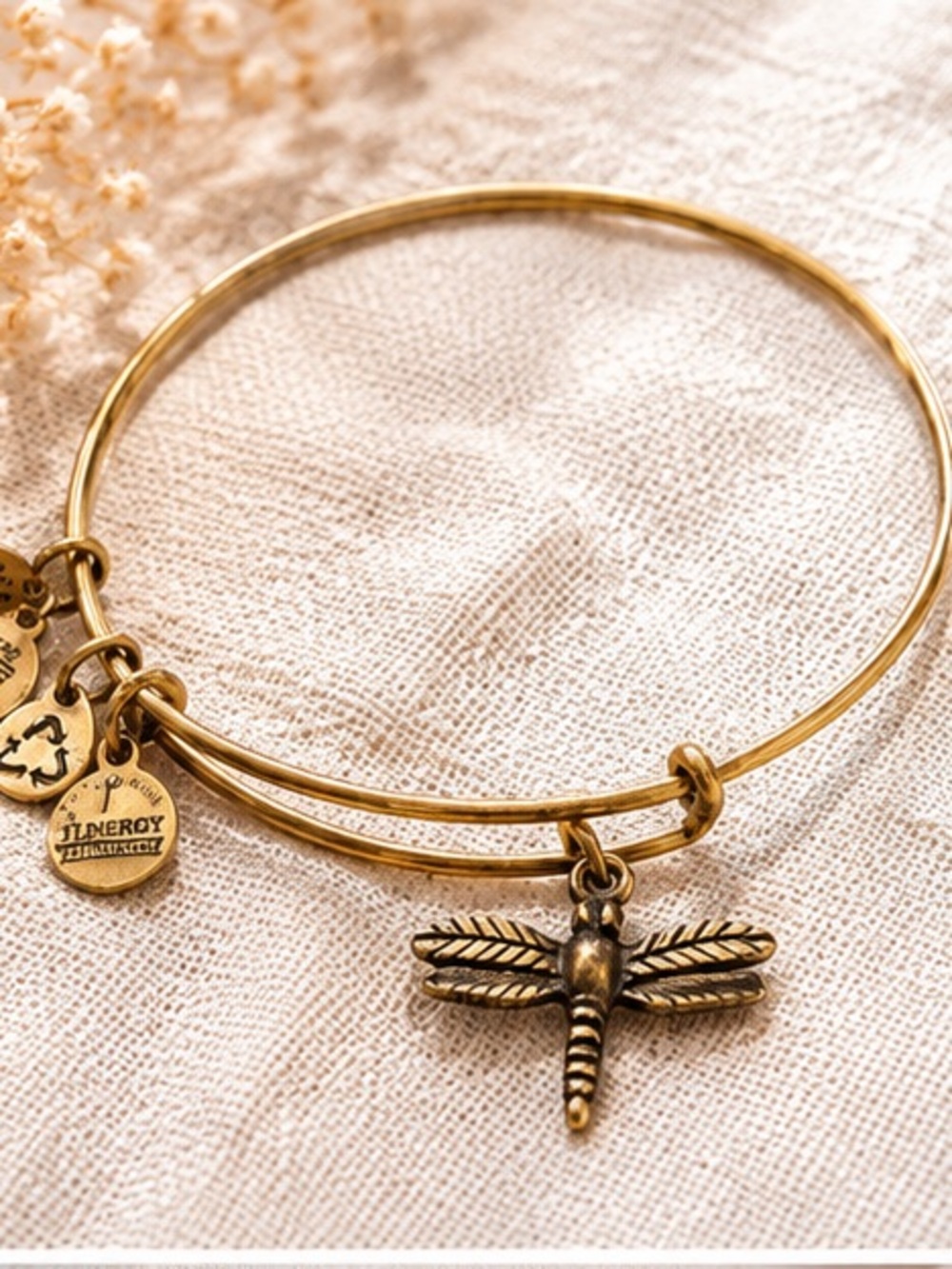 Alex and Ani Gold Dragonfly Charm Bangle Bracelet